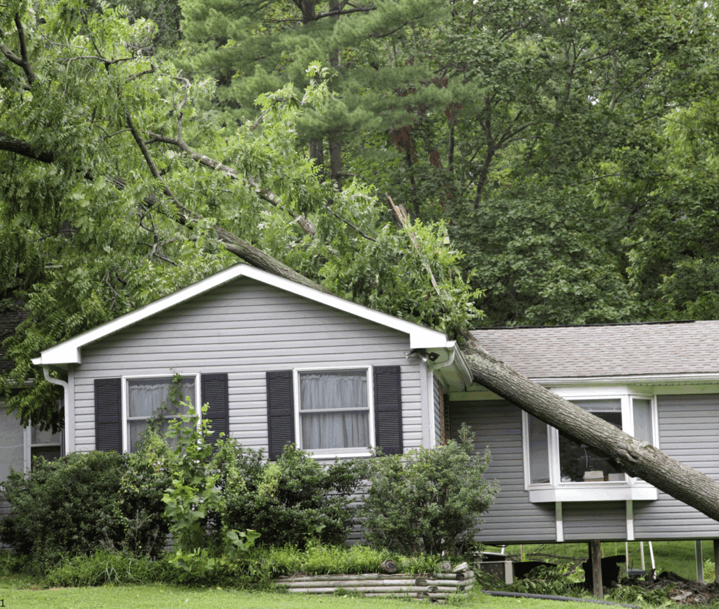 Storm Damage Restoration